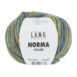 1073 0001 LANGYARNS NormaColor 1 Print