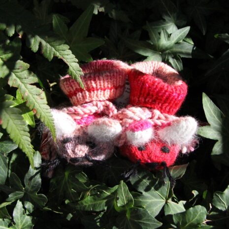 Müsli Rot Rosa